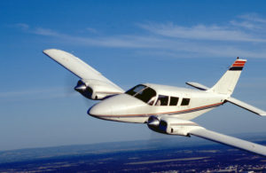 Piper Seneca